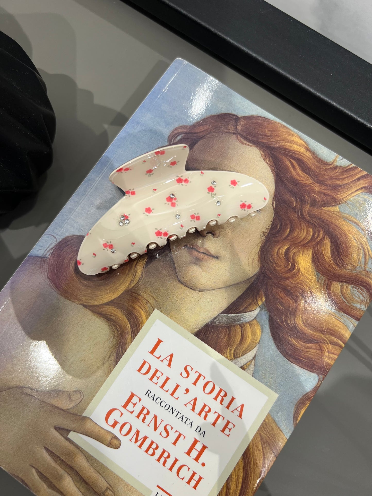 Fermaglio per capelli francese da sogno