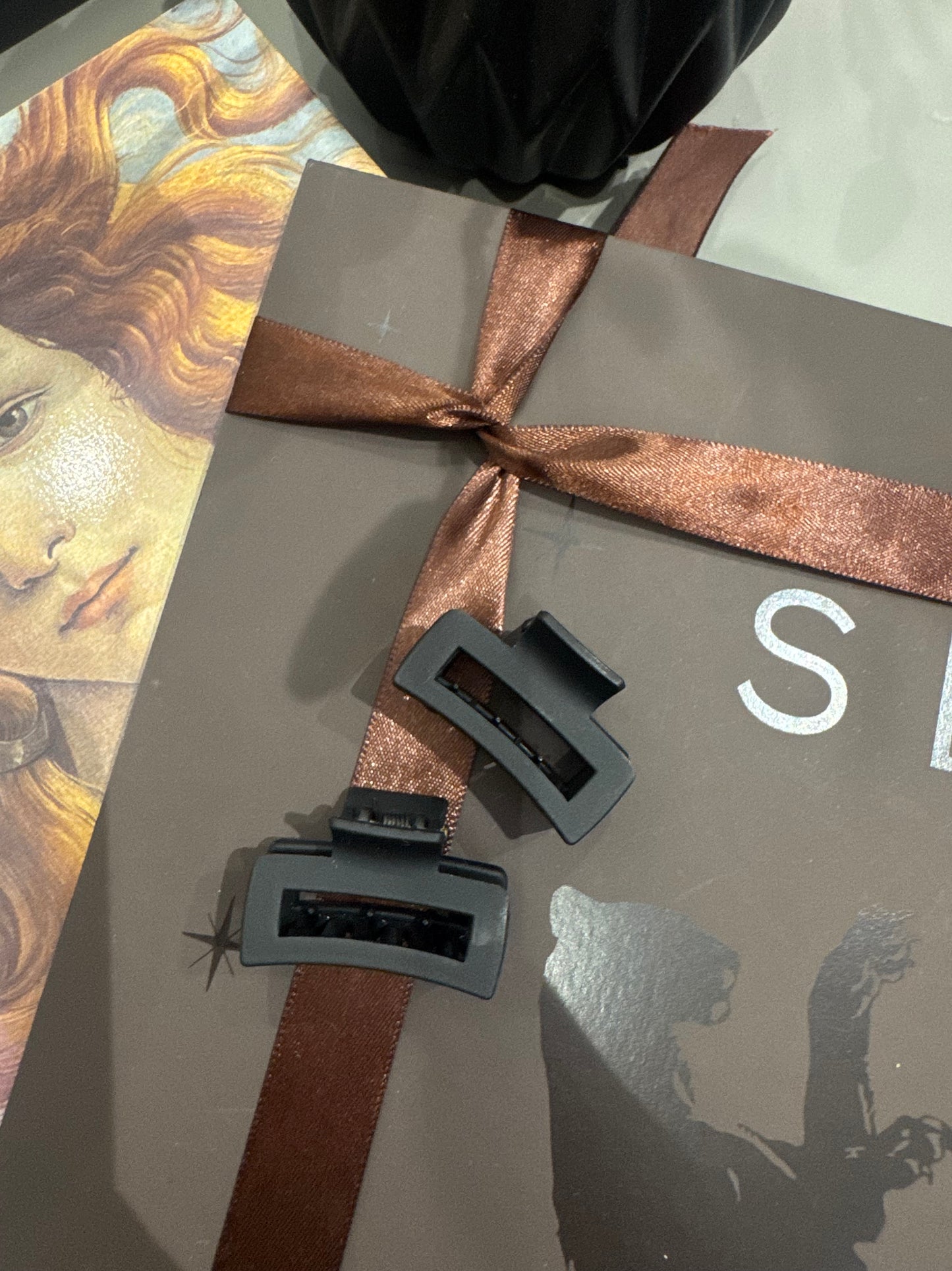 Black Matte Duo Hairclips