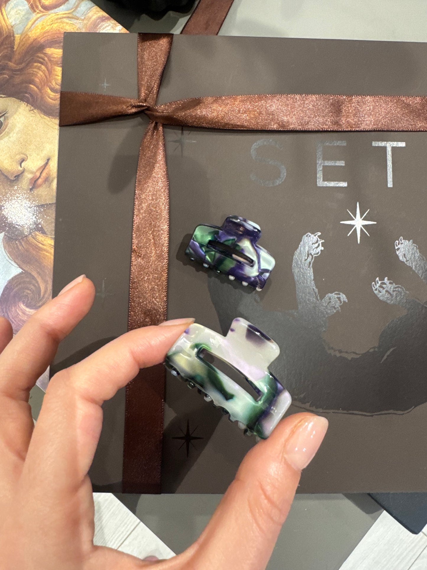 Purple & Green Duo Hairclips