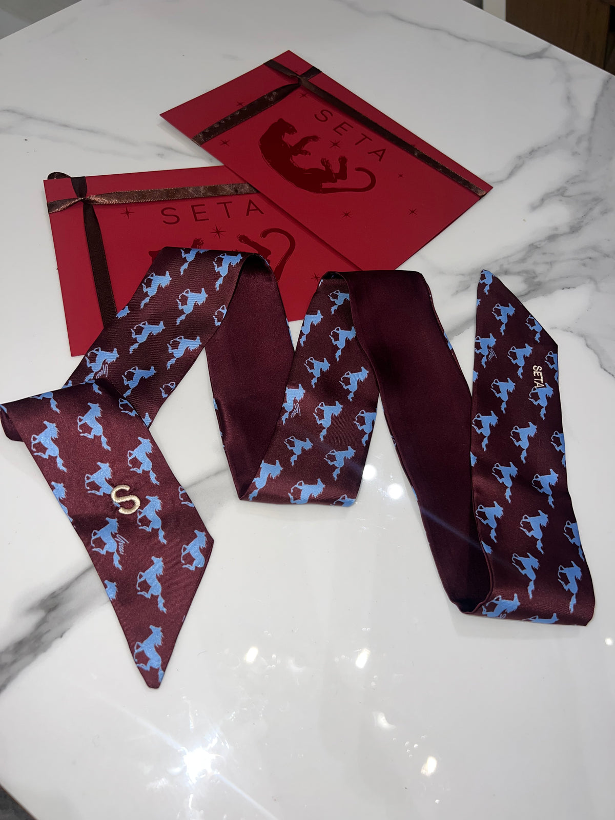 Cavallo Blu Silk Twilly